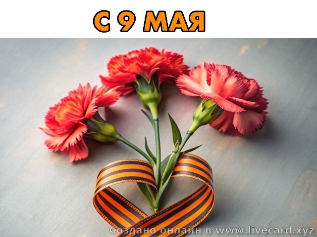 картинка живой открытки 0