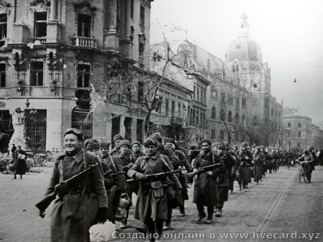 картинка живой открытки 0