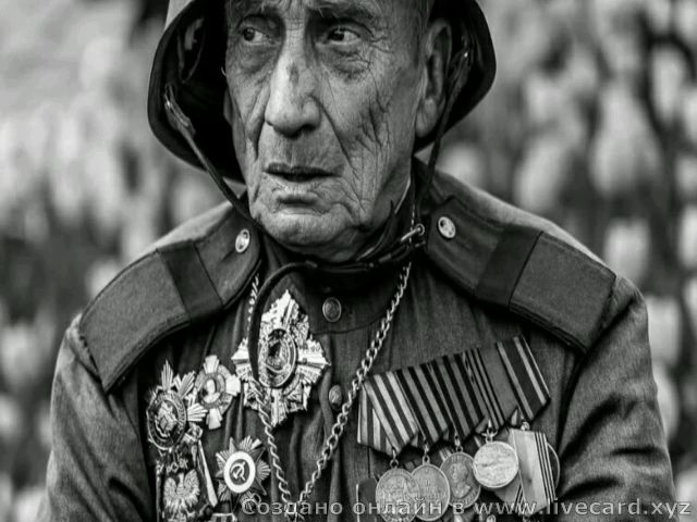 картинка живой открытки 0